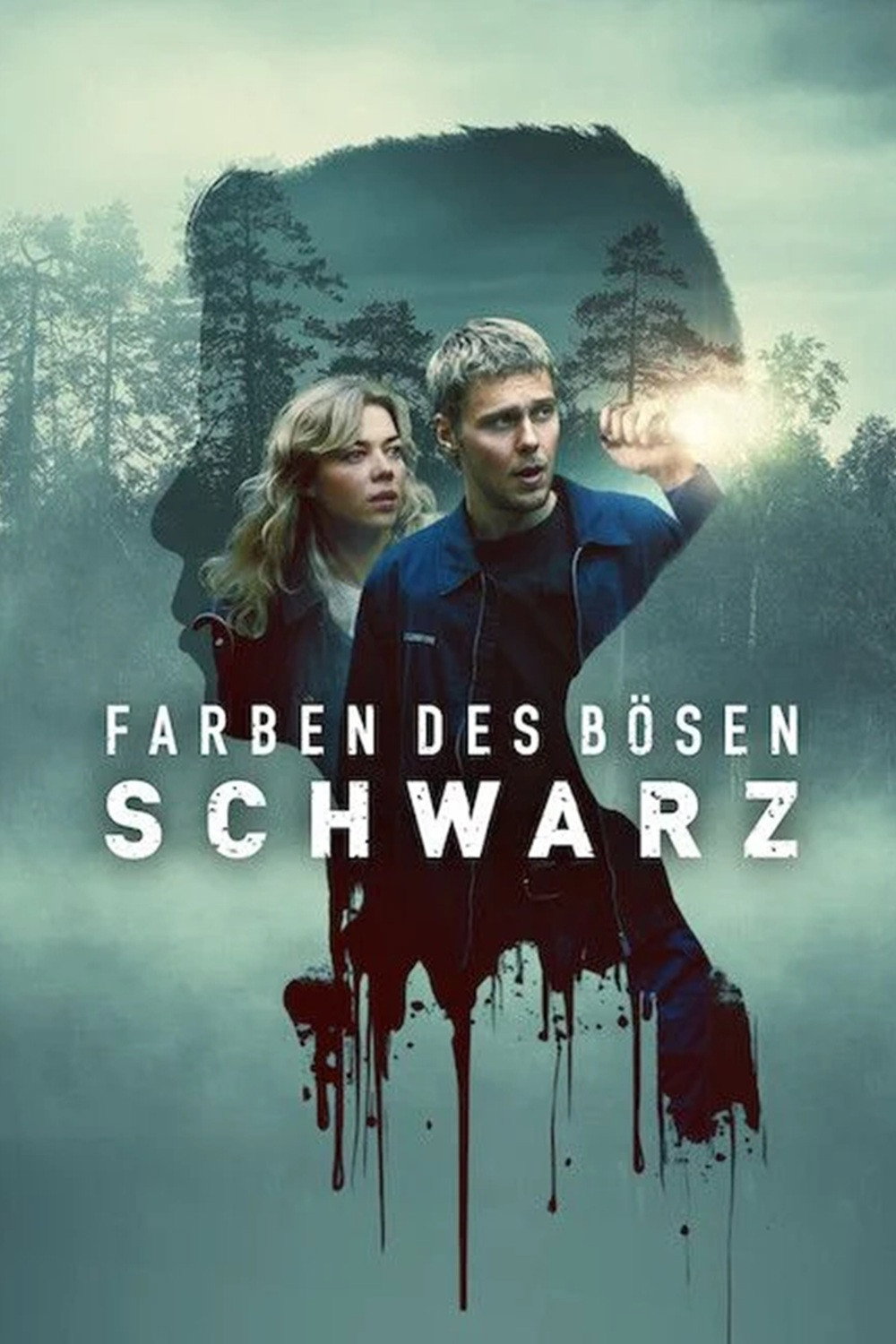 Poster phim Màu Tà Ác: Đen (Kolory zła: Czerń) trên Motchill